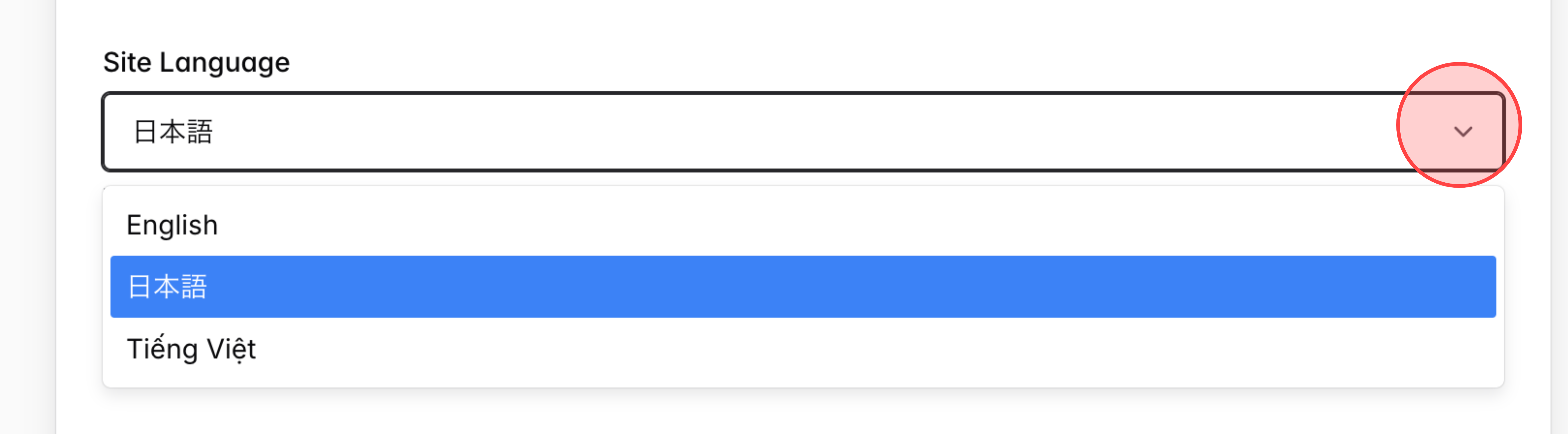 Screenshot for step 3